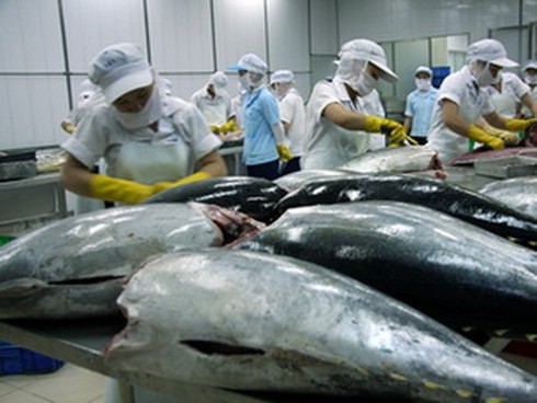 Cá ngừ Việt Nam xuất khẩu sang Mexico tăng 472% - ảnh 1